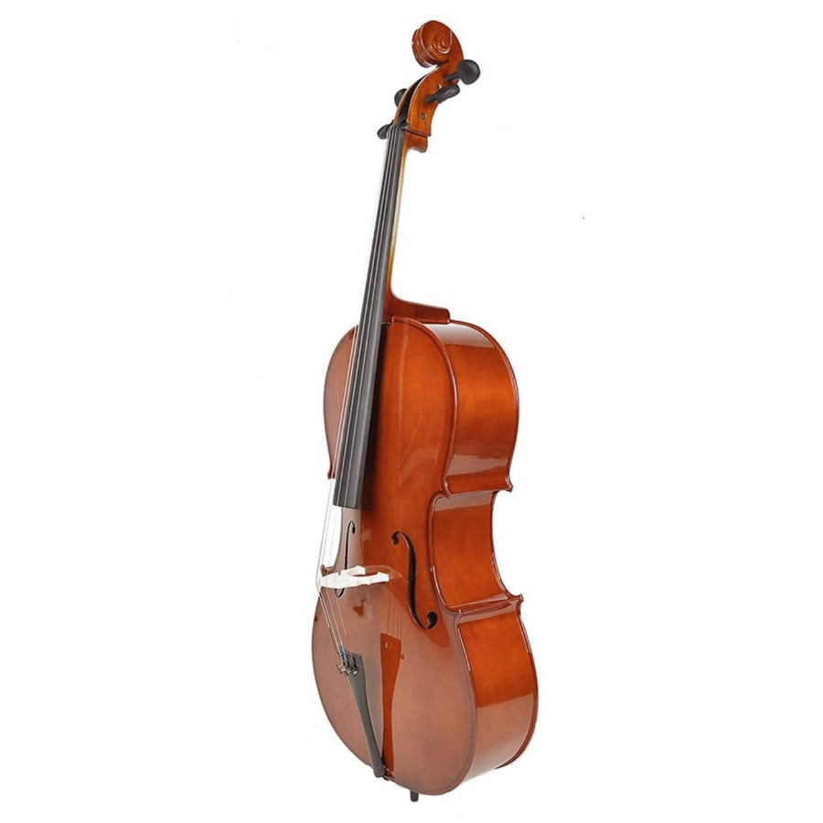 Leonardo LC1044 Set violoncel 4/4, arcus, husa, fixuri