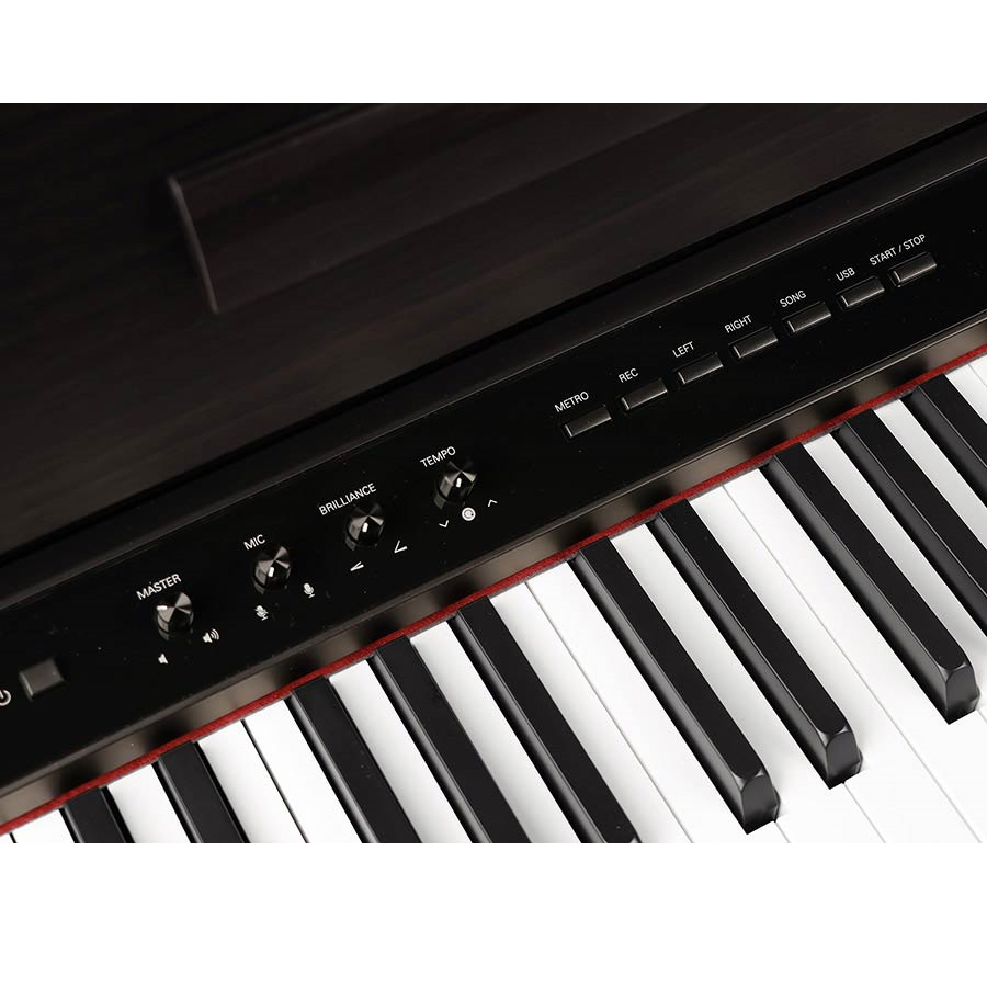 Medeli DP650K/RW Pian digital profesional, 88 clape
