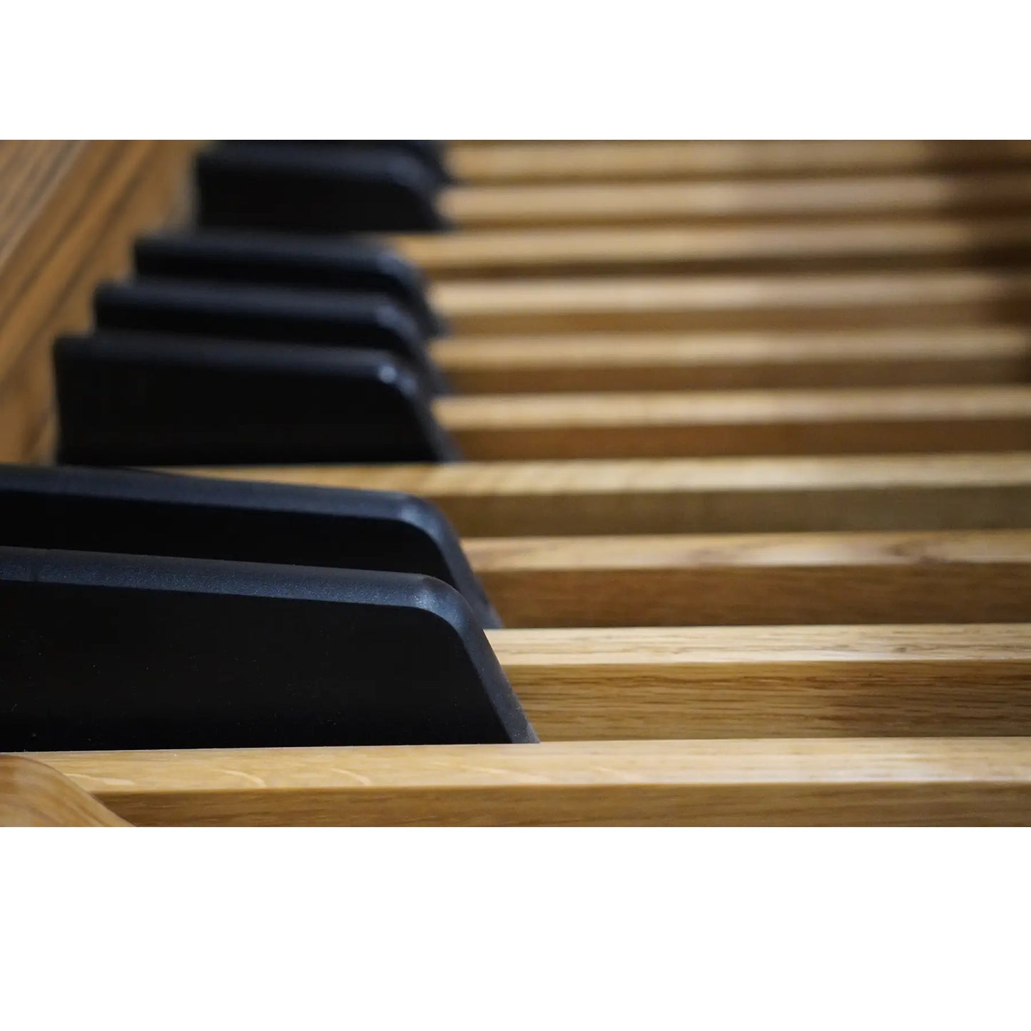 Viscount Domus 6 – Orga de biserică digitală cu 2 claviaturi, pedalier cu 32 de note, 39 de registre + 3 voci orchestrale