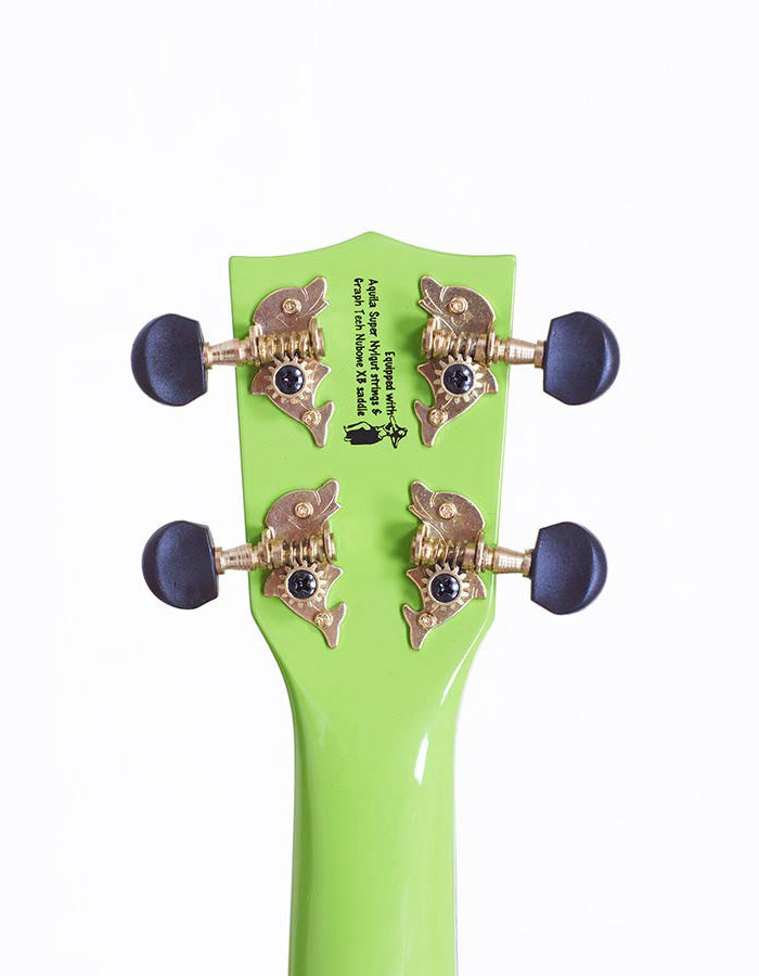 Mahalo MR1GN – Set ukulele sopran Rainbow Series, verde, cu husă