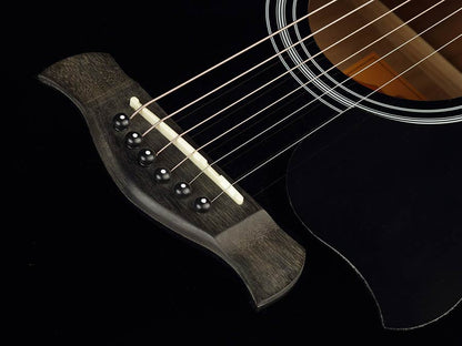 Richwood RD12BK Artist Chitară acustică dreadnought, negru