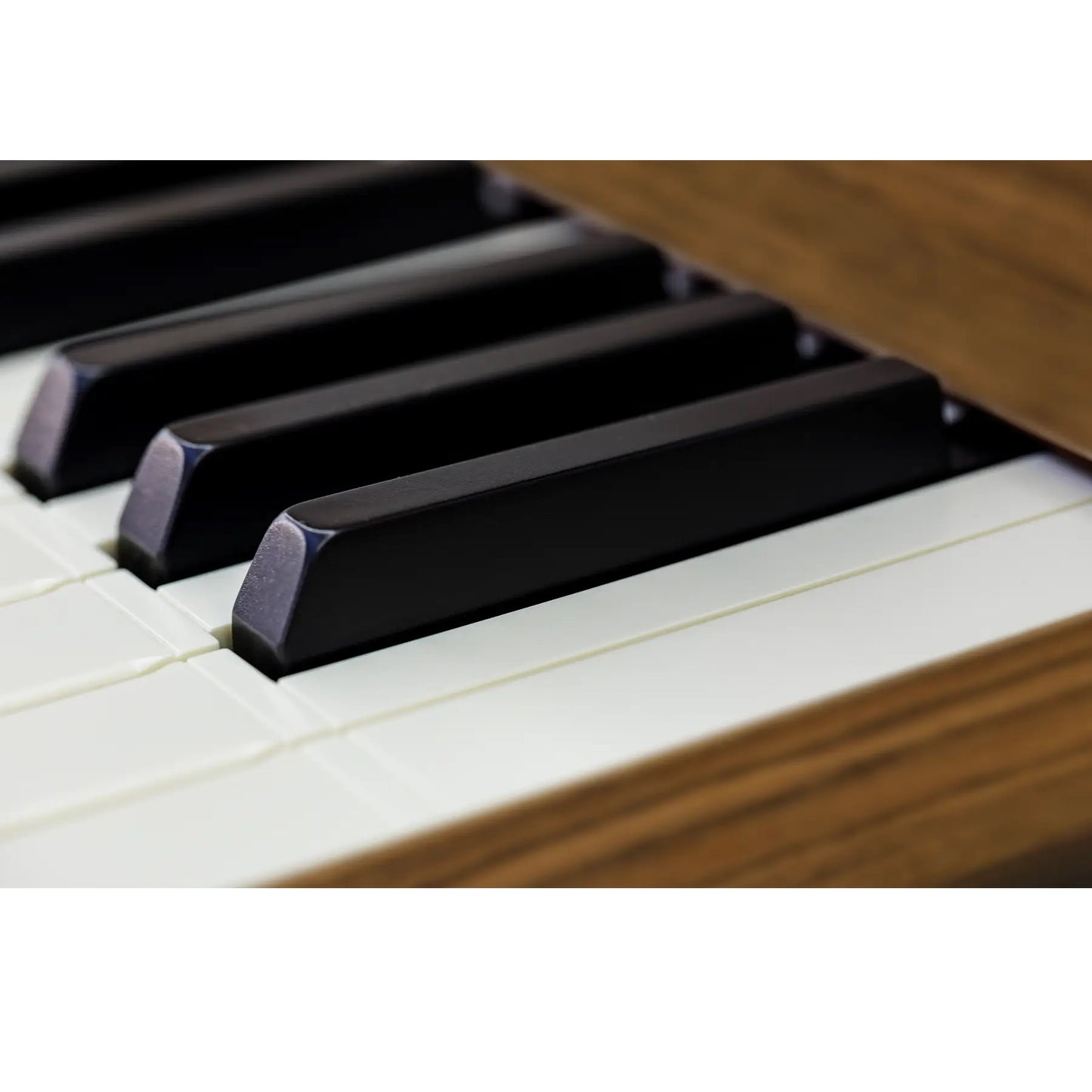 Viscount Domus 6 – Orga de biserică digitală cu 2 claviaturi, pedalier cu 32 de note, 39 de registre + 3 voci orchestrale