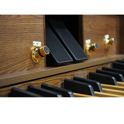 Viscount Domus 6 – Orga de biserică digitală cu 2 claviaturi, pedalier cu 32 de note, 39 de registre + 3 voci orchestrale