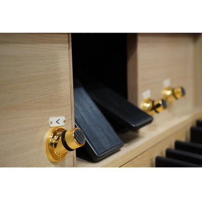 Viscount Domus S5 – Orga de biserică digitală cu 2 claviaturi, pedalier cu 32 de note, 39 de registre + 3 voci orchestrale