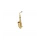 Startone SAS-75 Alto Sax