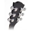 RD12BK Richwood Chitara acustica neagra