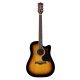 RD12CESB Richwood Chitara electro-acustica sunburst