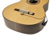 TD10CJ Boston Doza pickup instrumente cu corzi