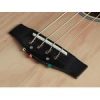 RB60E Richwood chitara bas acustic 