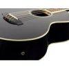 RB60EBK Richwood Chitara bas acustic 