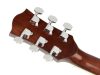 RD12L Richwood Chitara acustica stangaci natur