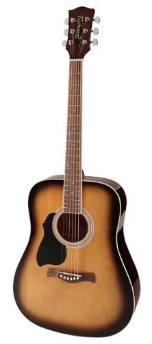 RD12LSB Richwood Chitara acustica stangaci sunburst