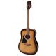 RD12LSB Richwood Chitara acustica stangaci sunburst