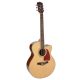 RJ17CE Richwood Artist Chitara jumbo electro-acustic