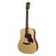 D20 Richwood chitara acustica