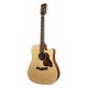 D20CE Richwood chitara acustica