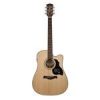 D40CE Richwood Chitara electroacustica 