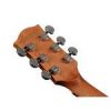 D40CE Richwood Chitara electroacustica 