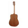 D50 Richwood Master chitara acustica dreadnought 