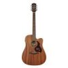 D50CE Richwood Master chitara electro-acustica dreadnought 