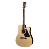 D60CE Richwood Master chitara electro-acustica dreadnought 