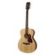 A20 Richwood chitara acustica