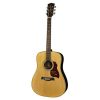 D65VA Richwood Master chitara acustica dreadnought