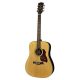 D65VA Richwood Master chitara acustica dreadnought