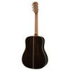 D65VA Richwood Master chitara acustica dreadnought