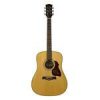 D65VA Richwood Master chitara acustica dreadnought