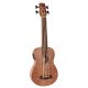 UKBB310E Korala Performer Ukulele bas electro-acustic