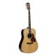 D270VA Richwood Master custom shop Chitara acustica dreadnought