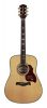 D270VA Richwood Master custom shop Chitara acustica dreadnought