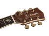 D270VA Richwood Master custom shop Chitara acustica dreadnought