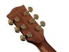 D270VA Richwood Master custom shop Chitara acustica dreadnought