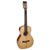 P40 Richwood Master chitara acustica de salon 