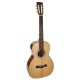 P40 Richwood Master chitara acustica de salon 