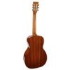 P40 Richwood Master chitara acustica de salon 