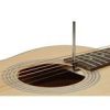 P40 Richwood Master chitara acustica de salon 