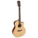 SWG110CE Richwood chitara acustica