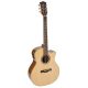 SWG130CE Richwood chitara acustica