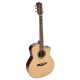 SWG150CE Richwood chitara acustica