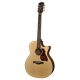 G22CE Richwood chitara acustica