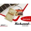 P50E Richwood Master chitara electro-acustica de salon