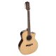 SWG150WCE Richwood chitara acustica