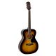 RA12SB Richwood Artist Chitara acustica, sunburst