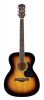 RA12SB Richwood Artist Chitara acustica, sunburst